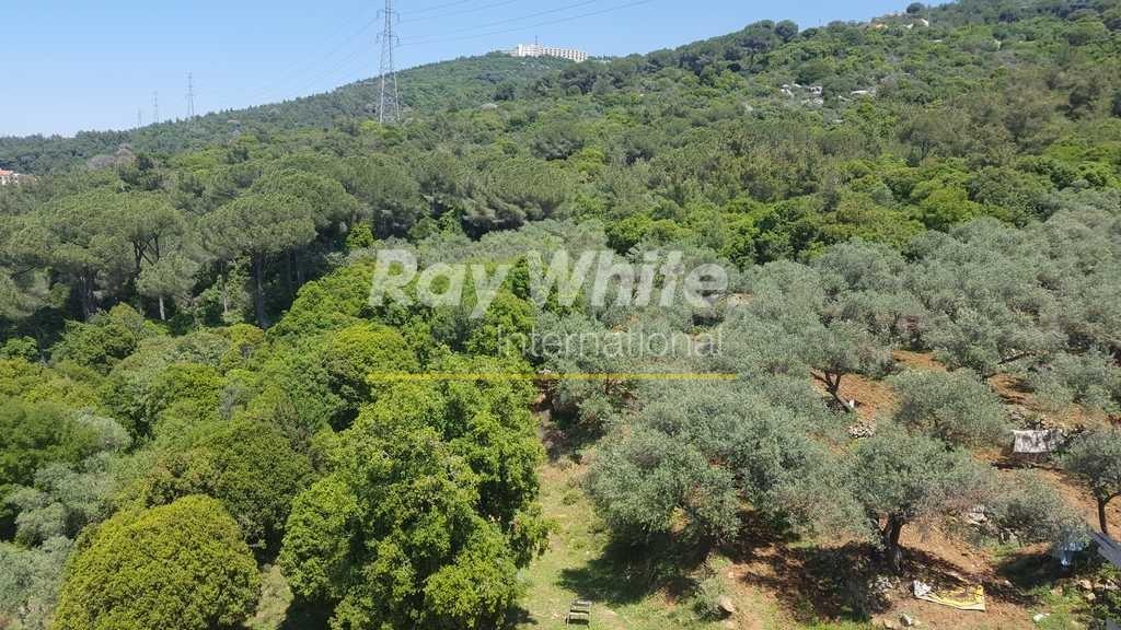 3 BR for sale in Ain Saade, 205 sqm