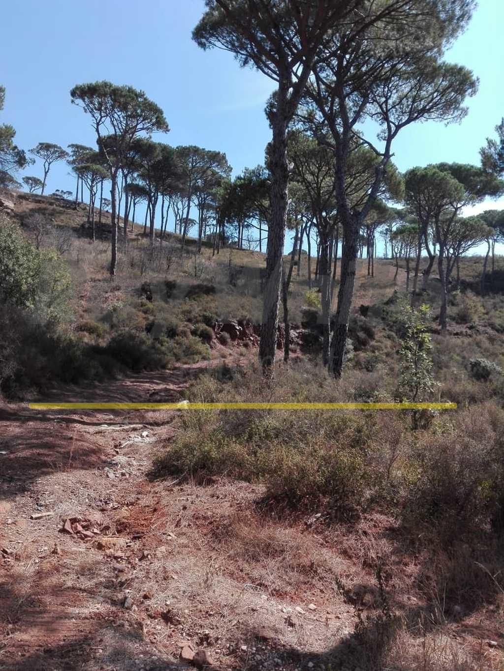 Land For Sale In Ras El Matn,10,000Sqm