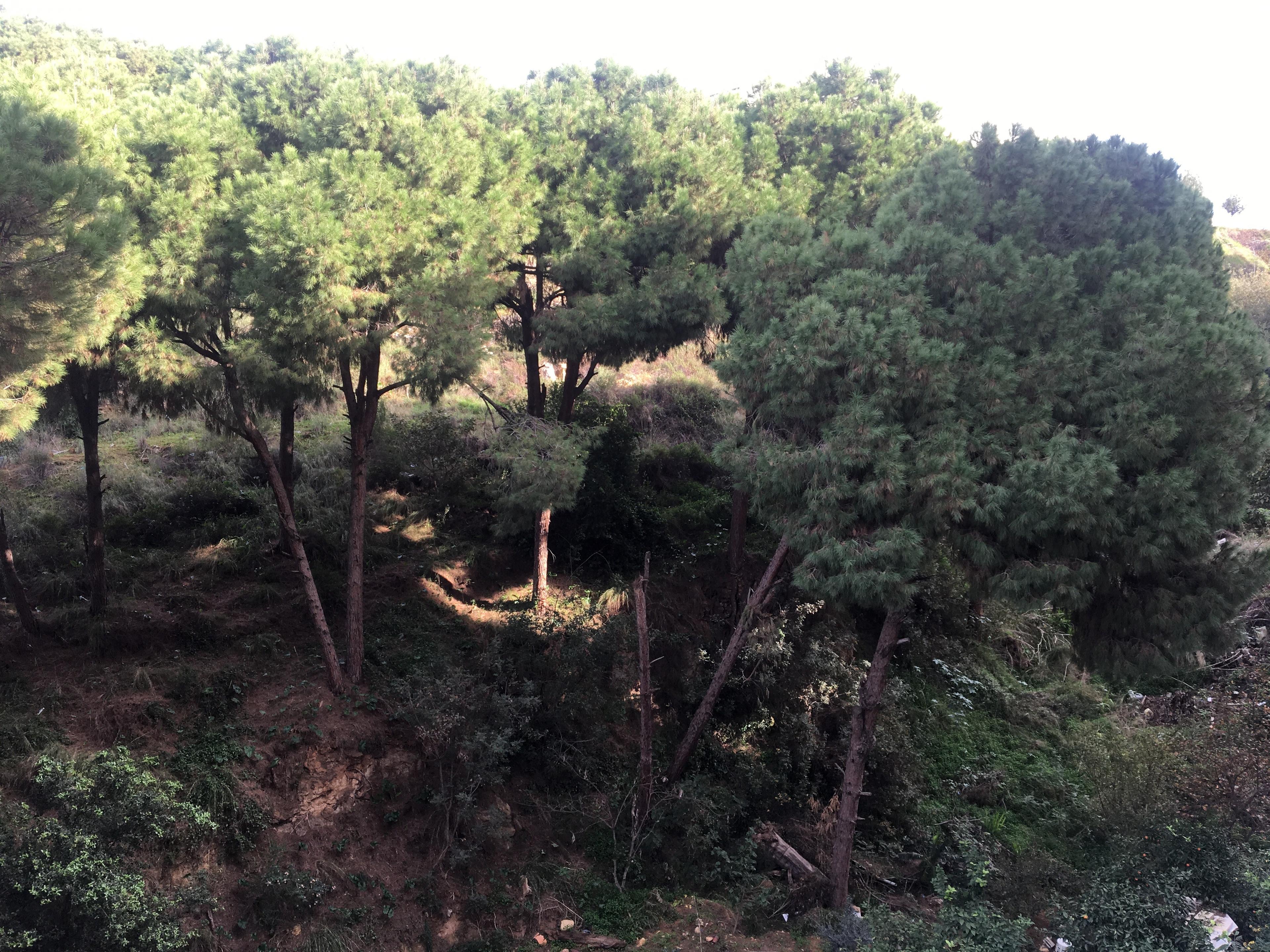 Apartment For Sale In Mar Roukoz-110Sqm